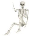Life Size Posable Skeleton Prop M875