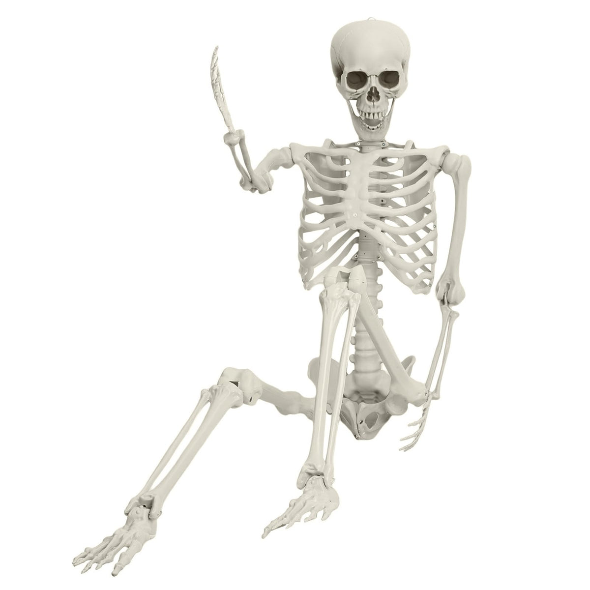 Life Size Posable Skeleton Prop M875