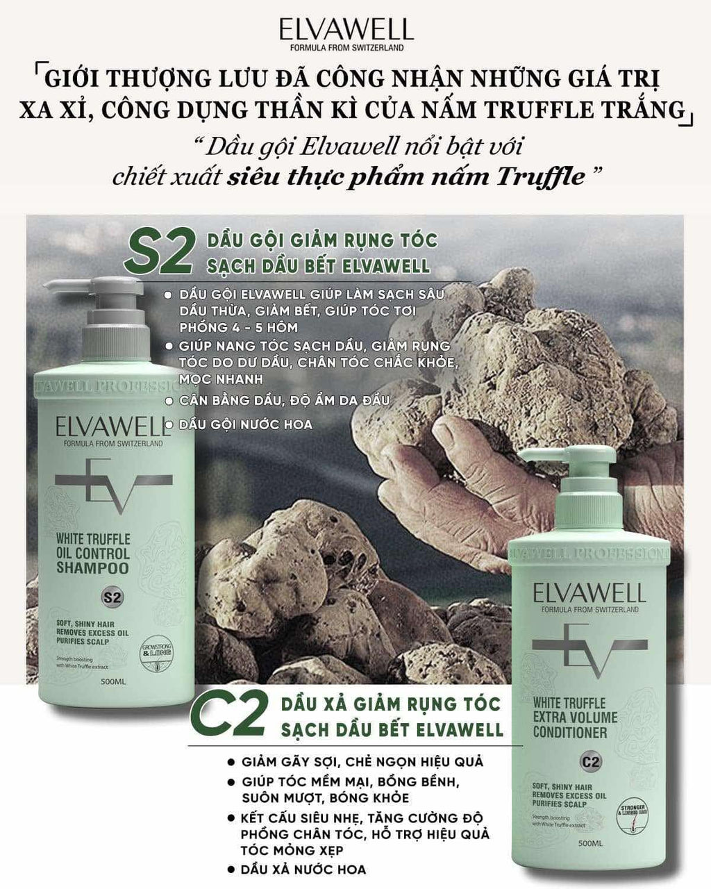 White Shampoo & Conditioner Set 16.9 fl oz Each E599
