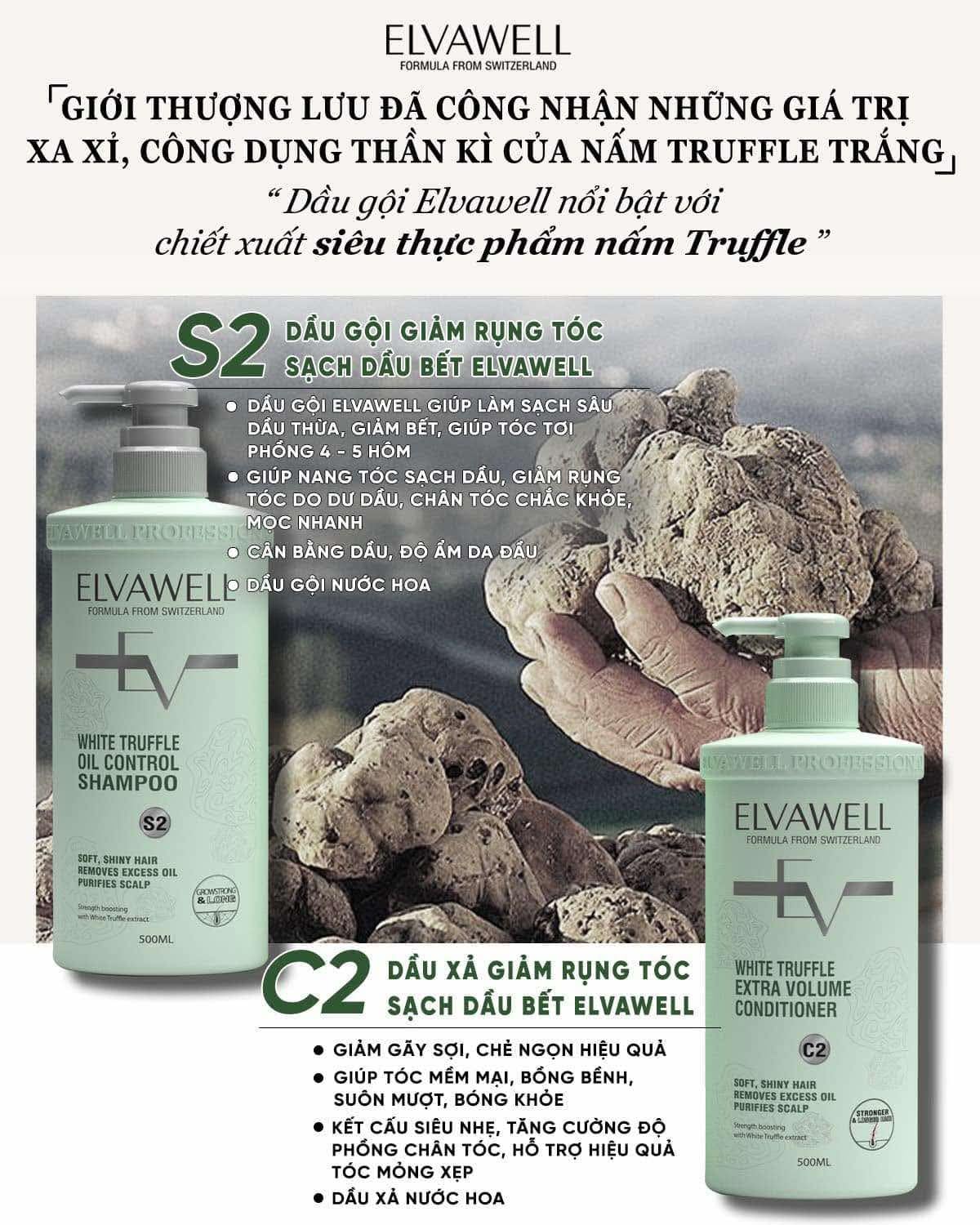 White Shampoo & Conditioner Set 16.9 fl oz Each E599