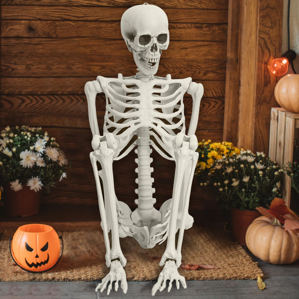 Life Size Posable Skeleton Prop M875