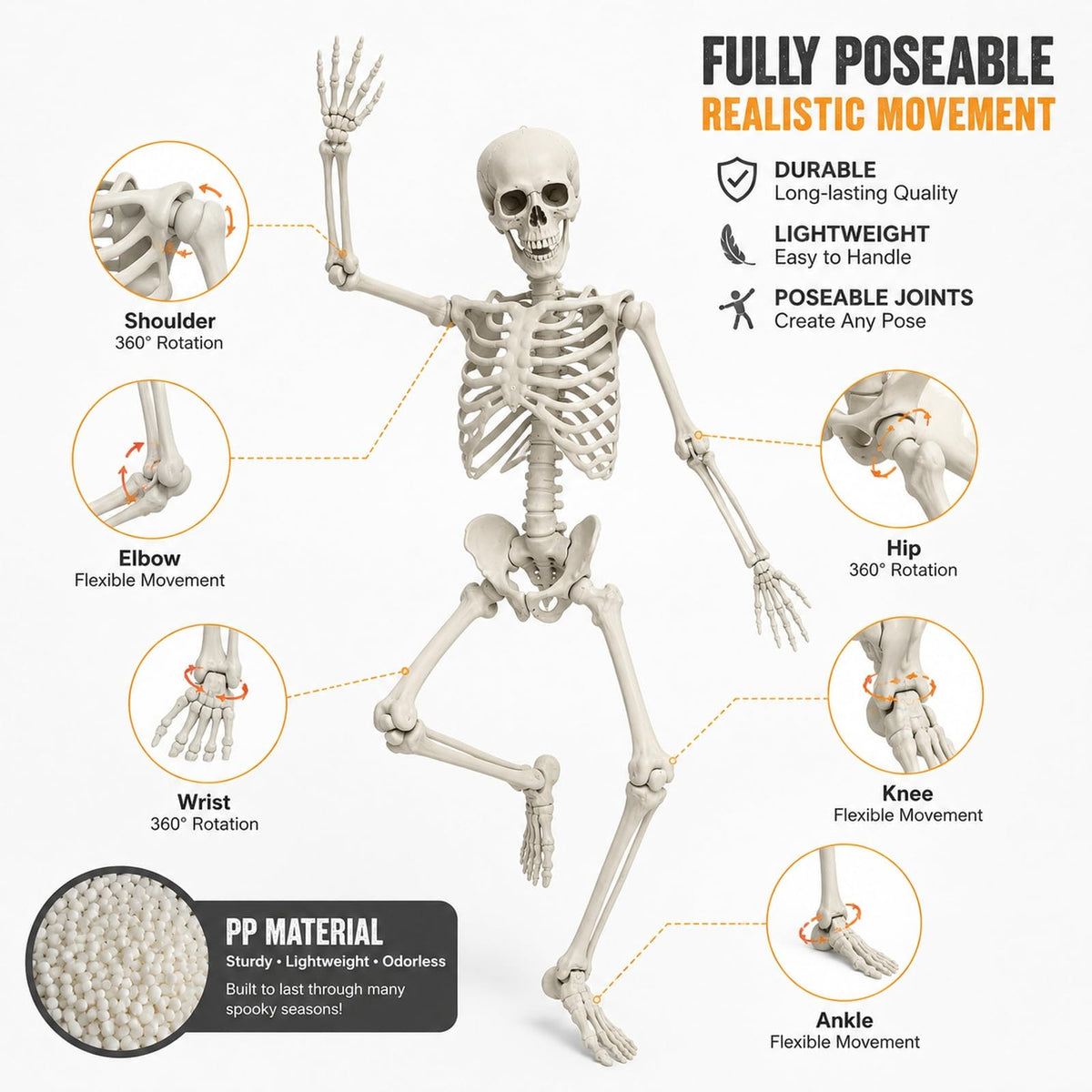 Life Size Posable Skeleton Prop M875