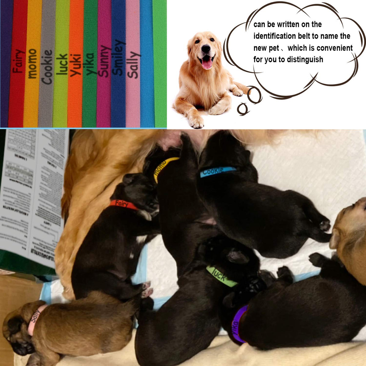 15 Pcs Soft Newborn Pet ID Bands K8520