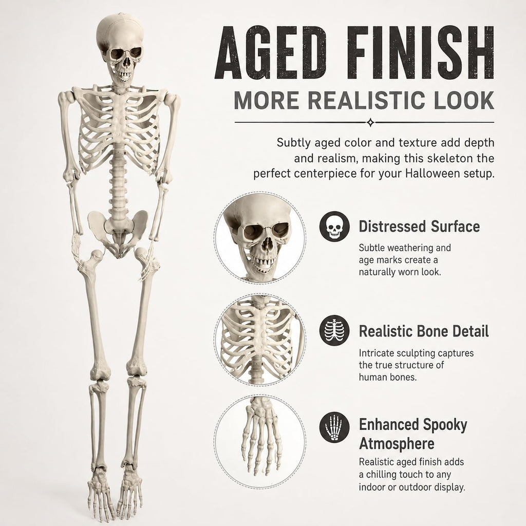 Life Size Posable Skeleton Prop M875