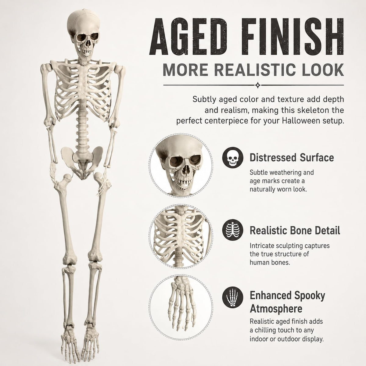 Life Size Posable Skeleton Prop M875