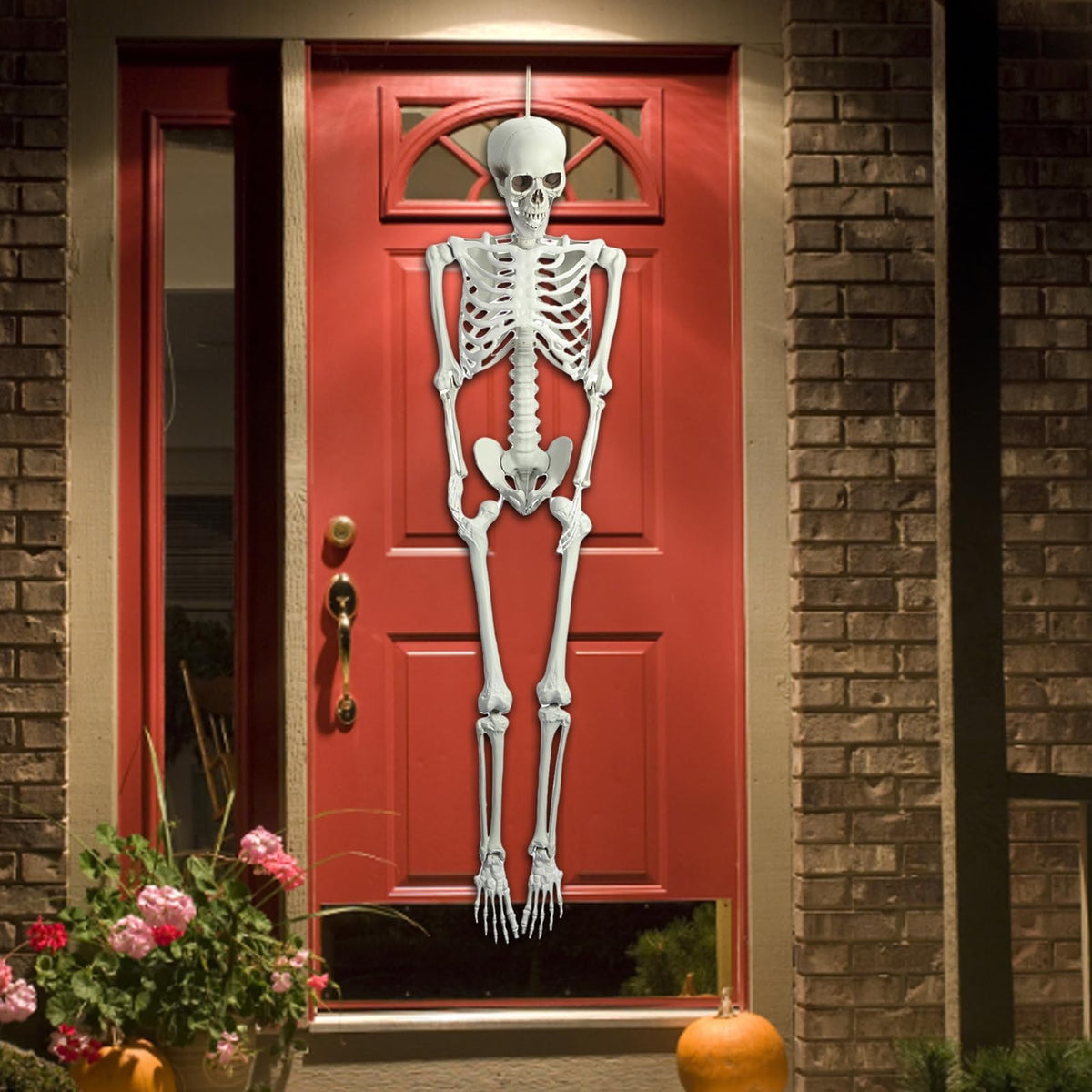 Life Size Posable Skeleton Prop M875
