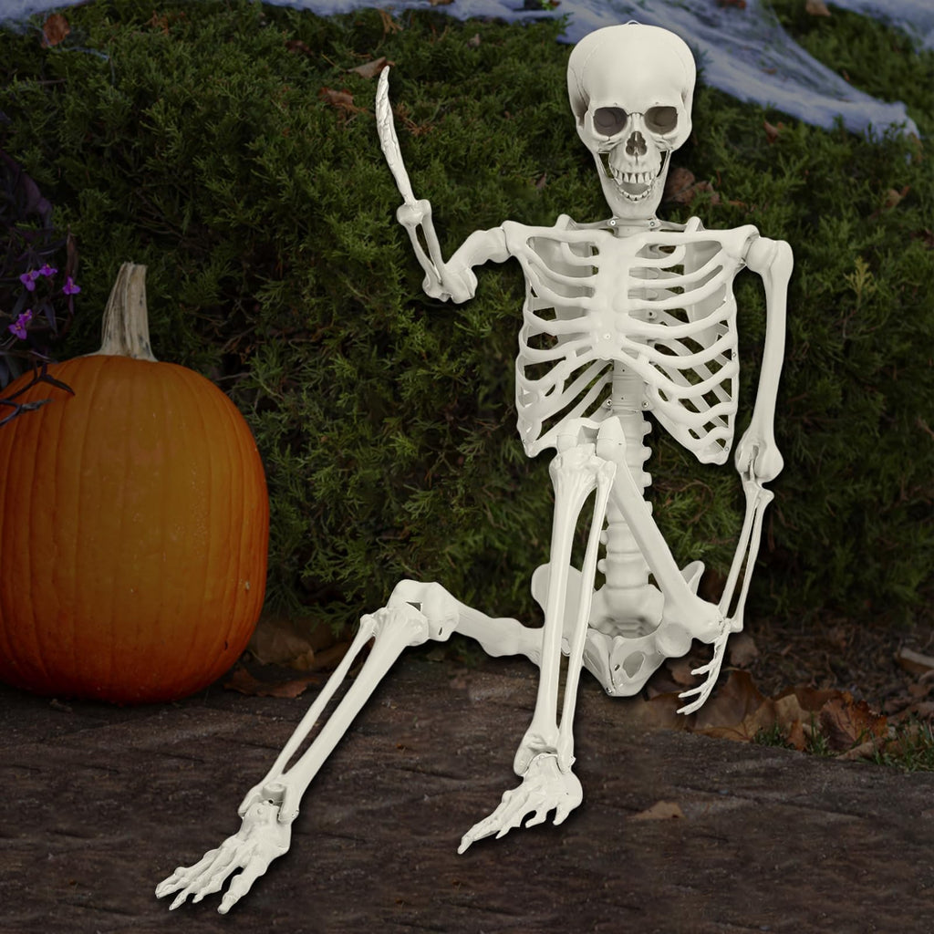 Life Size Posable Skeleton Prop M875