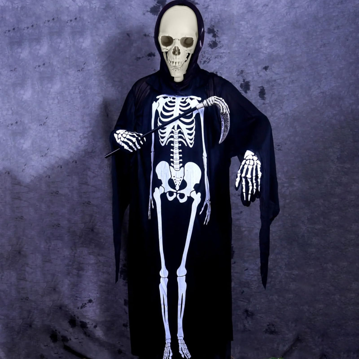 Life Size Posable Skeleton Prop M875